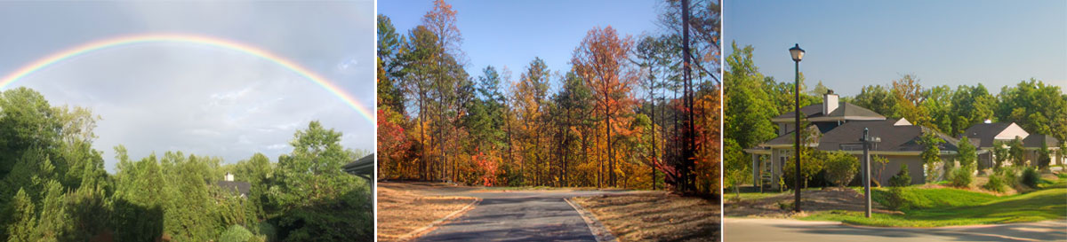 mhoa home banner
